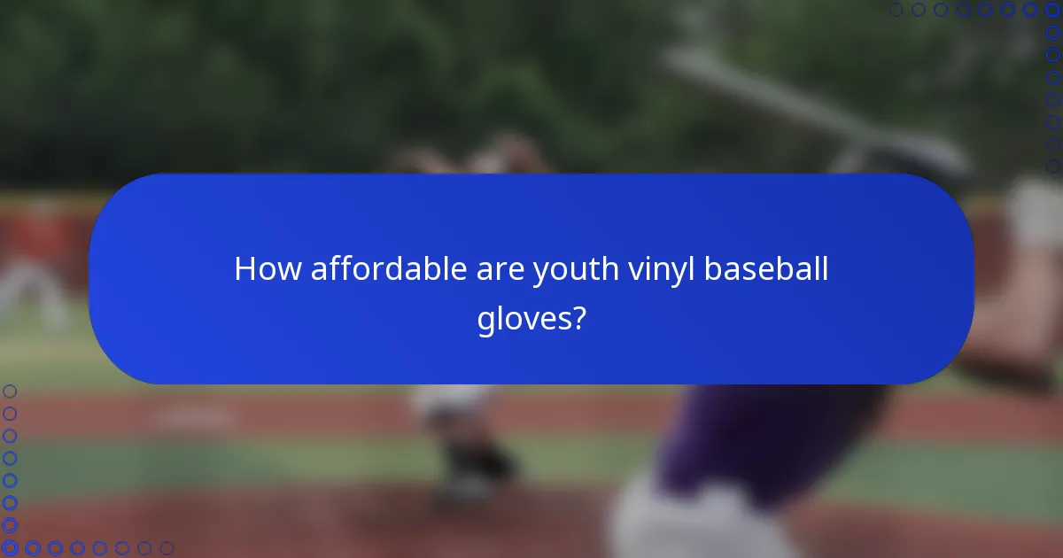How affordable are youth vinyl baseball gloves?