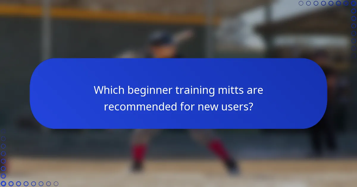 Which beginner training mitts are recommended for new users?