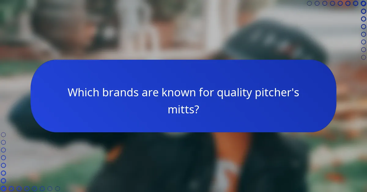 Which brands are known for quality pitcher's mitts?