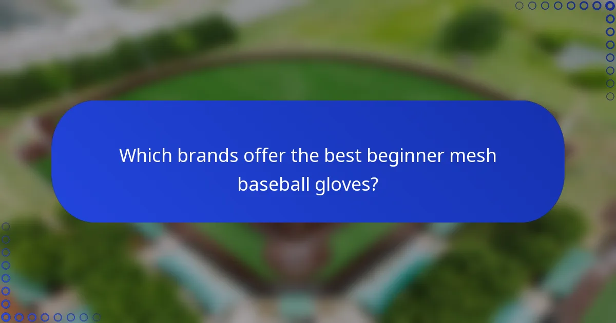 Which brands offer the best beginner mesh baseball gloves?