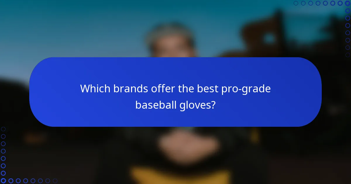 Which brands offer the best pro-grade baseball gloves?